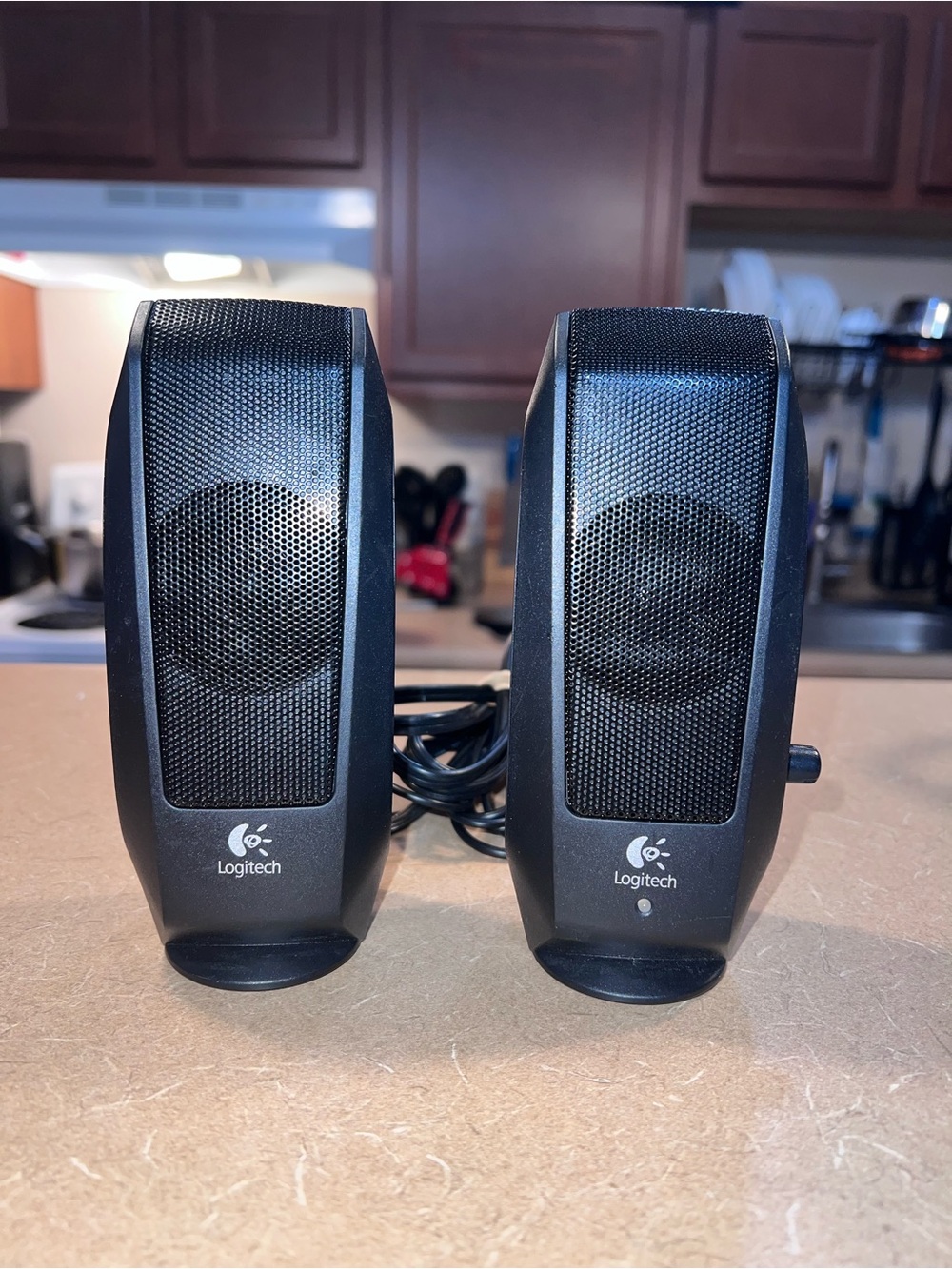 Logitech Computer Speakers